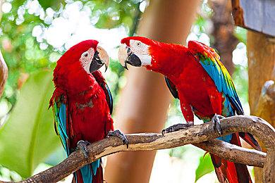 部分手游现已开始显示IP属地：《世界弹射物语》等